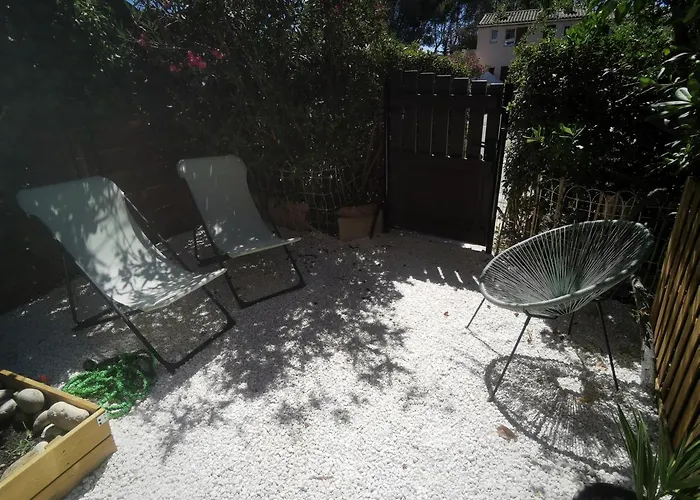 La Terrasse Ensoleillee De Sausset : Le Citronnier